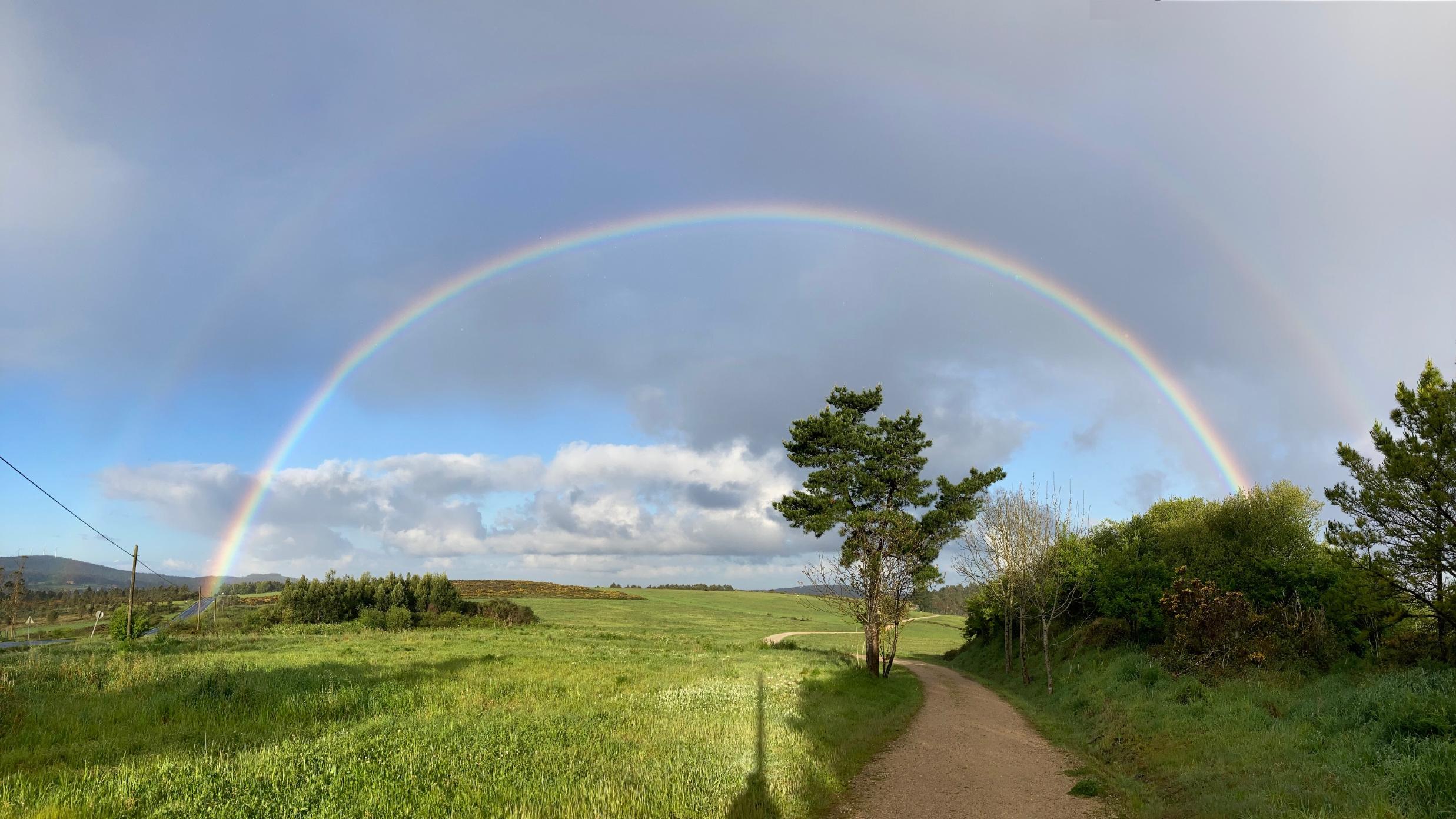 Ein weiter Regenbogen spannt sich über eine grüne Landschaft mit Feldern, Weg und einzelnen Bäumen.