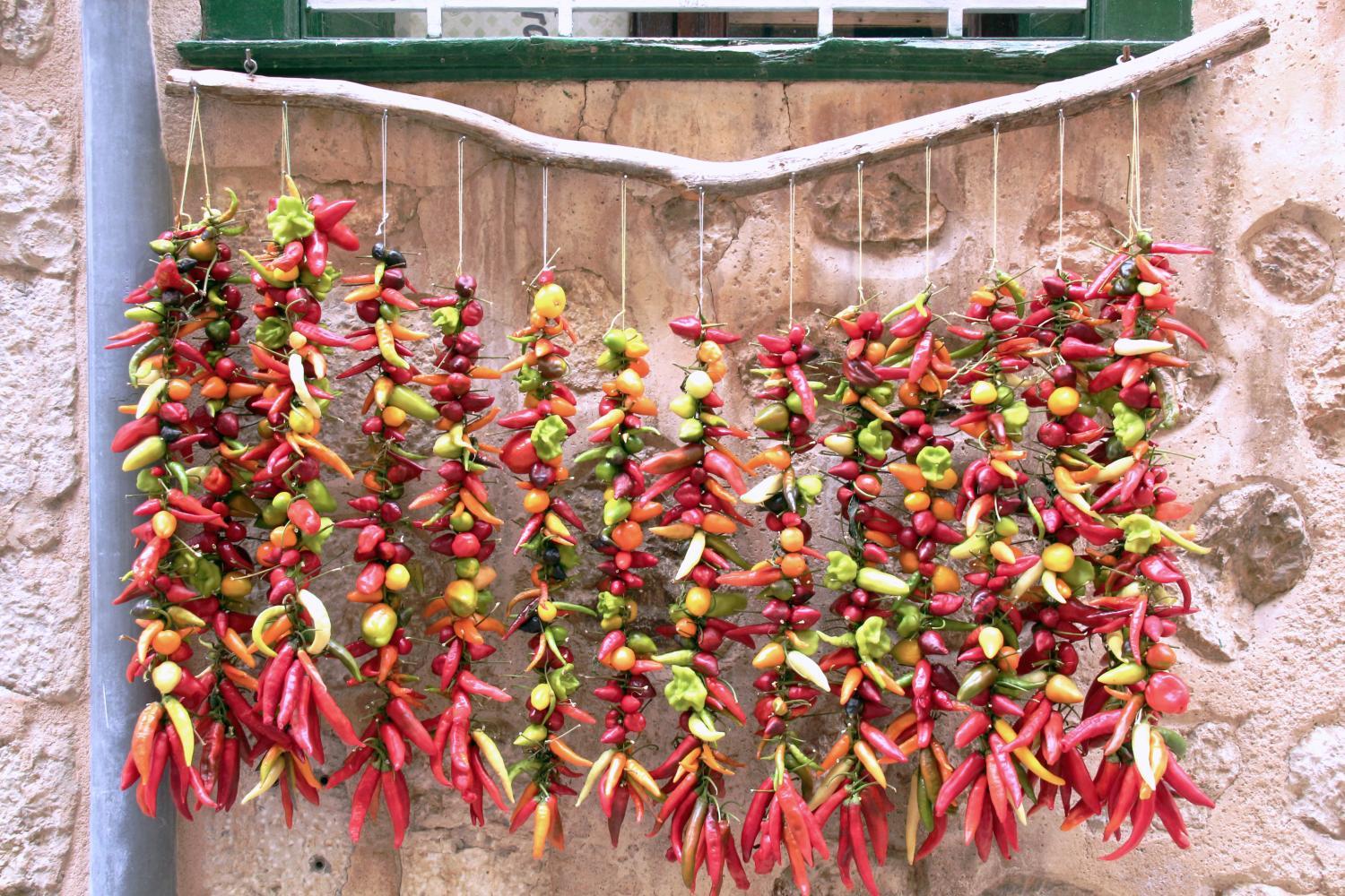 Bunte Chilischoten hängen aufgereiht vor einer Steinwand.