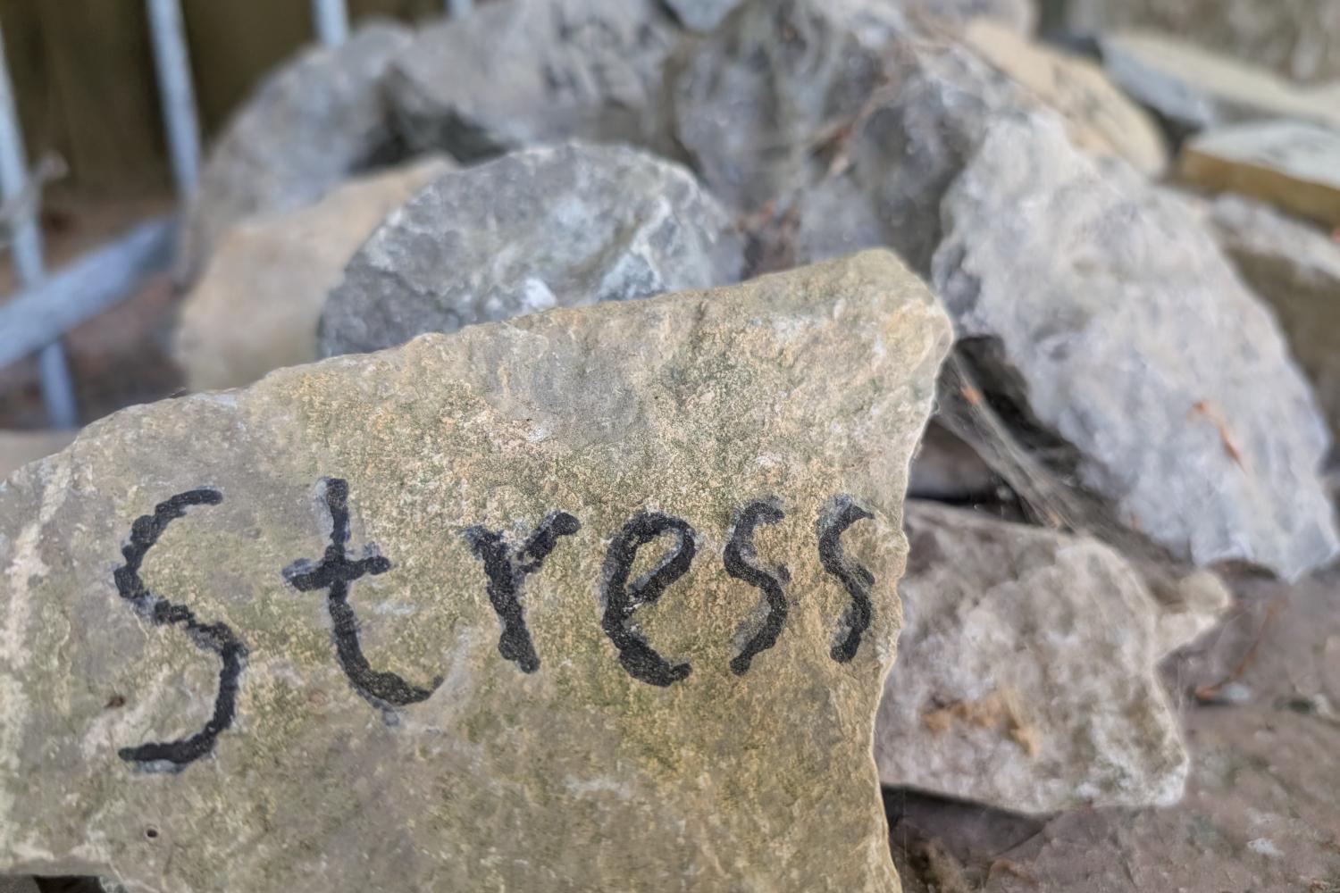 Stein mit dem Wort 'Stress' darauf, im Vordergrund, weitere Steine im Hintergrund.