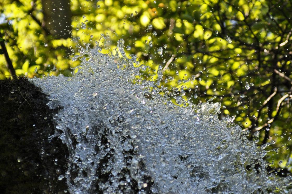 Wasser spritzt über einen Felsen im Sonnenlicht, grüner Wald im Hintergrund