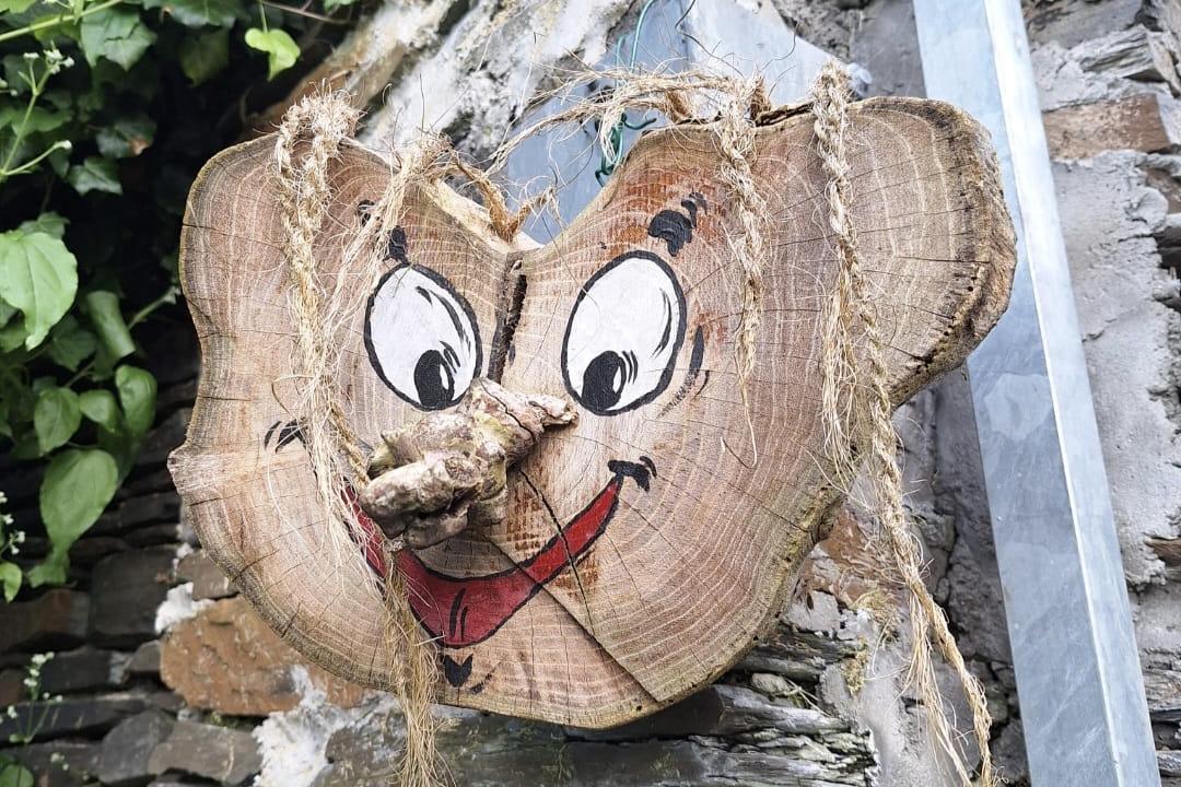 Aus einer Holzscheibe wurde mit Naturmaterialien ein lustiges Gesicht gebastelt